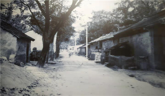 rgc29O1I..jpg.jpg