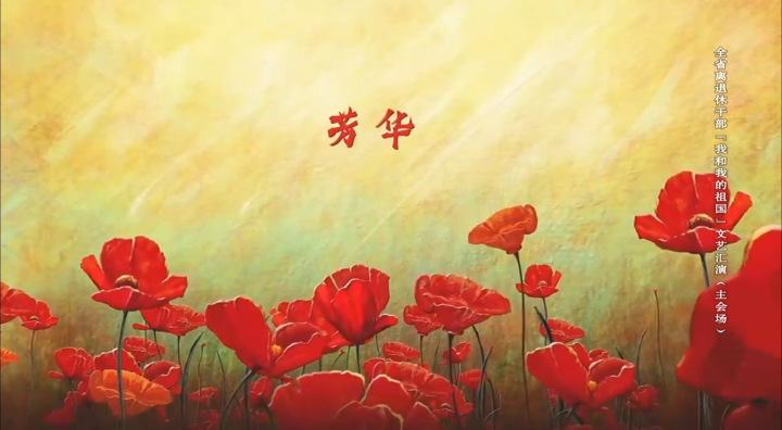 《芳华》服饰表演