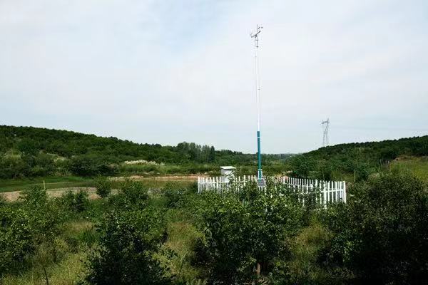 vq244dCf..jpg.jpg